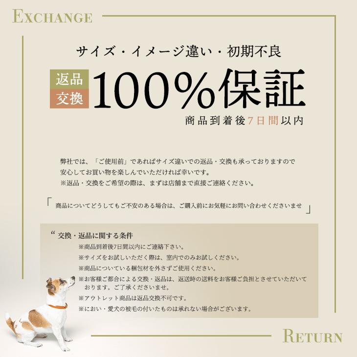 CITYDOG（シティドッグ） 犬 リュック ペットキャリー 犬キャリー
