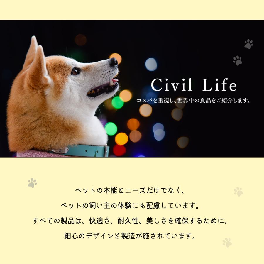 犬 光る首輪 首輪 光る led ライト 犬用 猫用 散歩 防水 小型犬 中型犬 大型犬 USB充電式 サイズ調整可 レインボー｜civil-life｜19