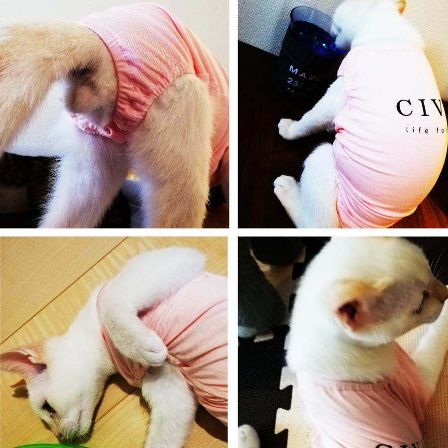 サージェリー surgery 猫耳パーカー surgery 猫耳 パーカー