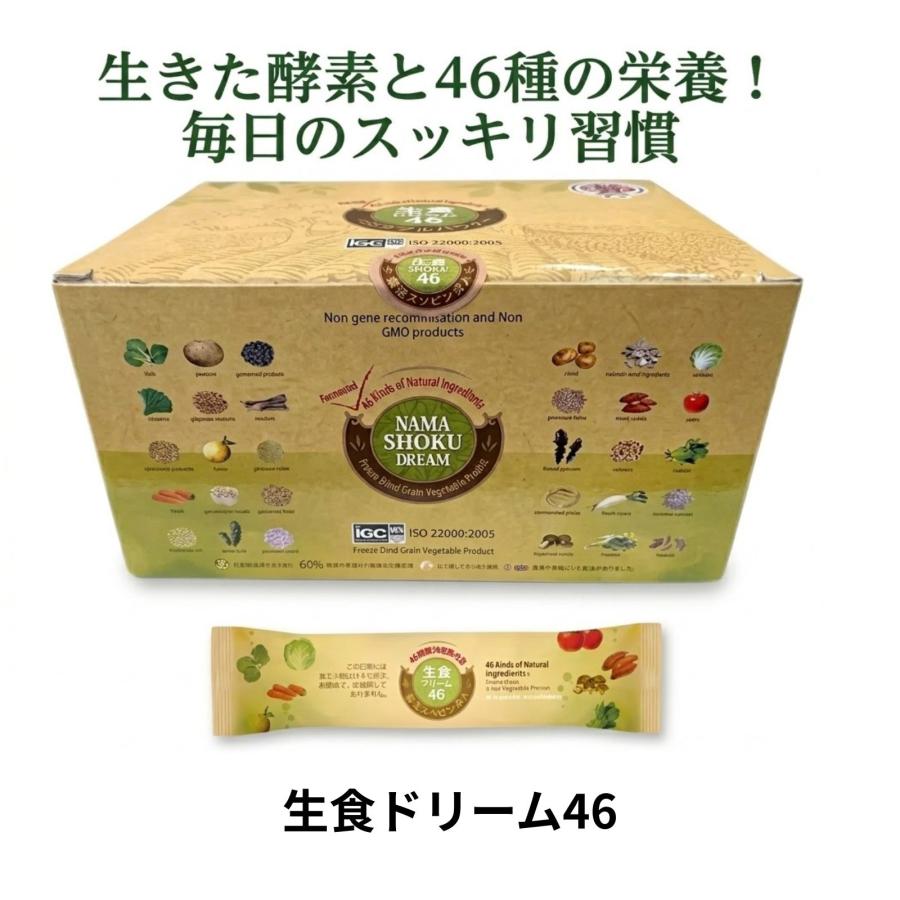 生食ドリーム46 生食46 酵素 31包 46種類 乾燥野菜 粉末 野菜 青汁 食物繊維 野菜ジュース オーガニック フリーズドライ | 