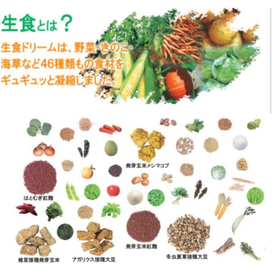 生食ドリーム46 生食46 酵素 31包 46種類 乾燥野菜 粉末 野菜 青汁 食物繊維 野菜ジュース オーガニック フリーズドライ |  | 03