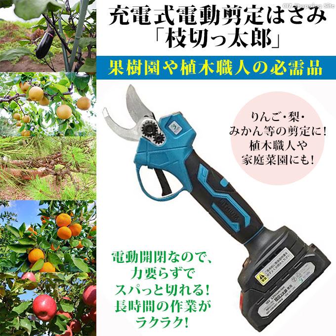 アルミス 剪定ばさみ 電動 枝切りバサミ コードレス 充電式 自動 アルミス 剪定ばさみ 電動 枝切りバサミ コードレス 充電式 自動