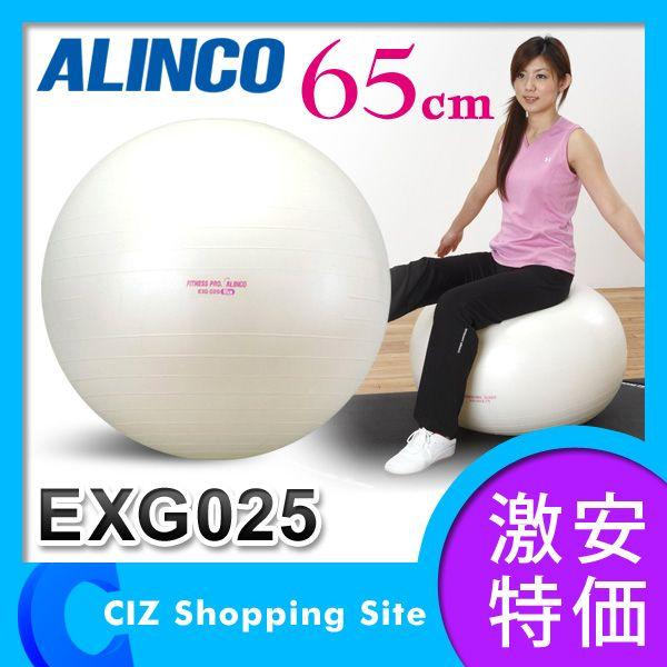 アルインコ Alinco エクササイズボール 65cm フィットネス器具 Exg025 バランスボール Exg025 シズ ショッピングサイト ヤフー店 通販 Yahoo ショッピング