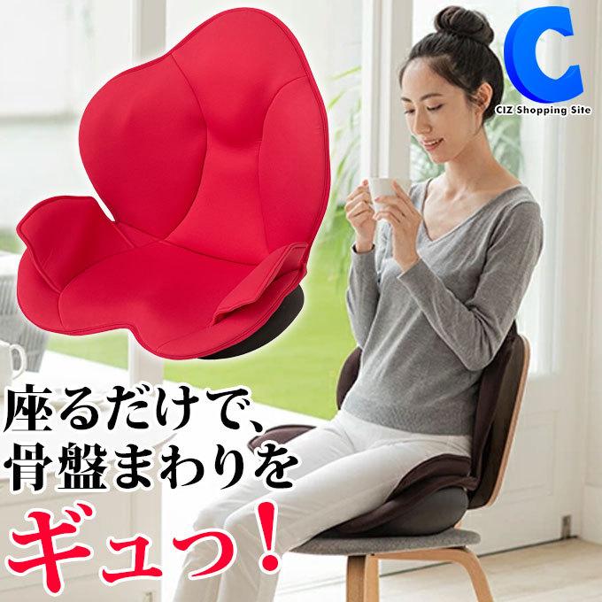芦屋美整体 骨盤スリムスタイリーエアー ダークブラウン