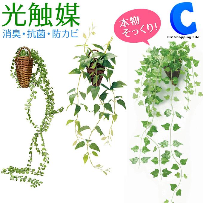585円 品数豊富 光触媒 観葉植物 フェイクグリーン おしゃれ インテリア 壁掛け
