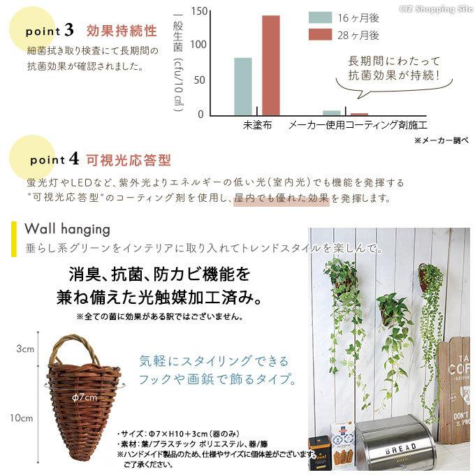 光触媒 観葉植物 フェイクグリーン おしゃれ インテリア 壁掛け｜ciz｜07