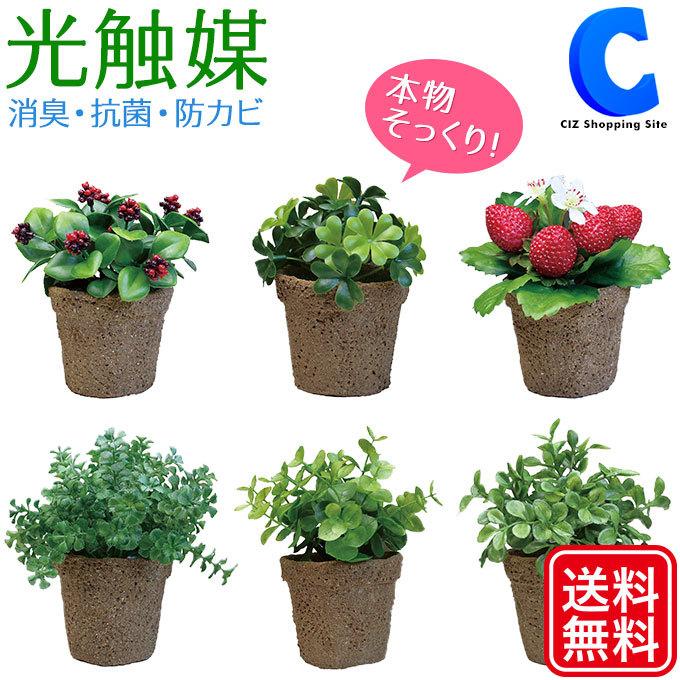 格安 価格でご提供いたします 光触媒 観葉植物 フェイクグリーン おしゃれ インテリア ミニサイズ プチ ミニグリーン