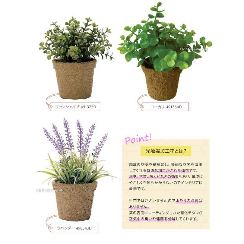 無条件 特別価格 取寄品 人工観葉植物 ボックスウッドボール S 36cm 小さい ミニサイズ ミニ観葉植物 フェイクグリーン インテリアグリーン 偉大な Centrodeladultomayor Com Uy