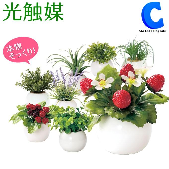 フェイクグリーン 光触媒 観葉植物 おしゃれ インテリア ユーカリ エアプランツ ラベンダー など 8種類 ラウンドポット Round シズ ショッピングサイト ヤフー店 通販 Yahoo ショッピング
