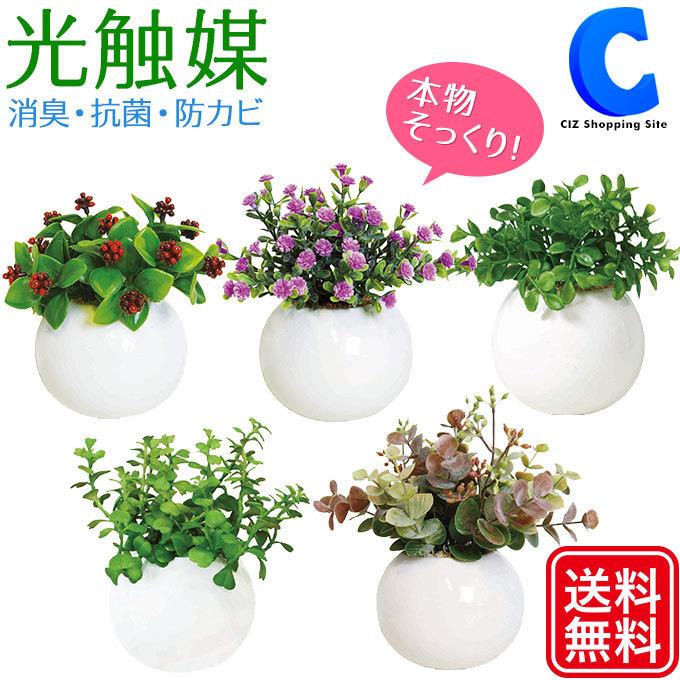 光触媒 観葉植物 フェイクグリーン おしゃれ インテリア ラウンドポット L 当店の記念日