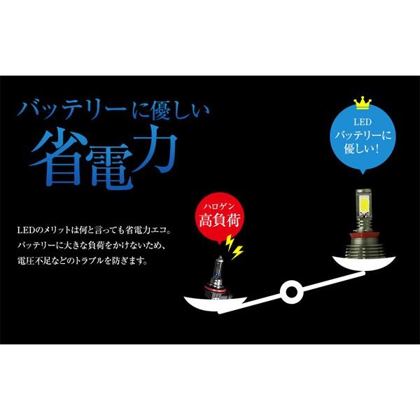 フォグランプ LED フォグライト スフィア LEDコンバージョンキット SHKPE030/060 SHKPG030/060 （送料無料＆お取寄せ）｜ciz｜06