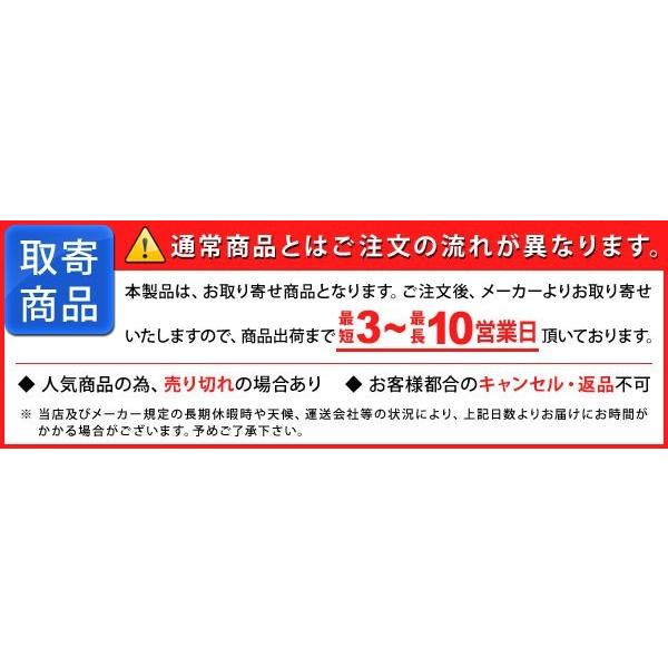 セイシング スタートキング SK-1240 12V 24V ポータブルバッテリー エンジンスターター 急速充電 切替式 (お取寄せ)｜ciz｜02