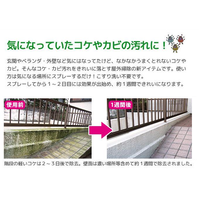 除去 コインランドリー カレンダー コケカビ 取り おすすめ ゼロ ダメージ の中で