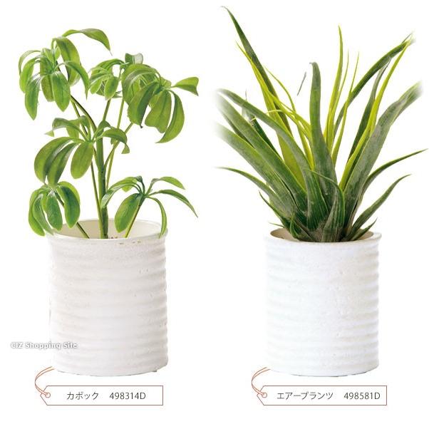 フェイクグリーン 光触媒 観葉植物 おしゃれ インテリア ハートリーフ ミント カポック エアープランツ Tr シズ ショッピングサイト ヤフー店 通販 Yahoo ショッピング