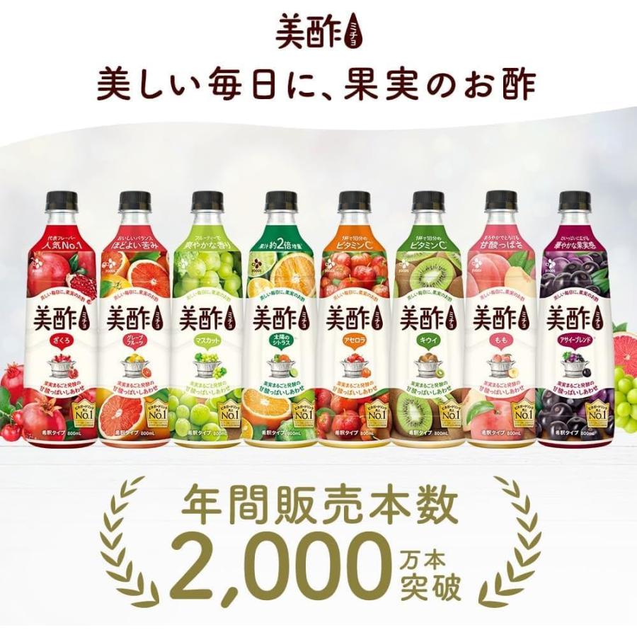 美酢 6本セット 8フレーバーから選べる 800ml×6本 OLT 果実酢 酢 飲む