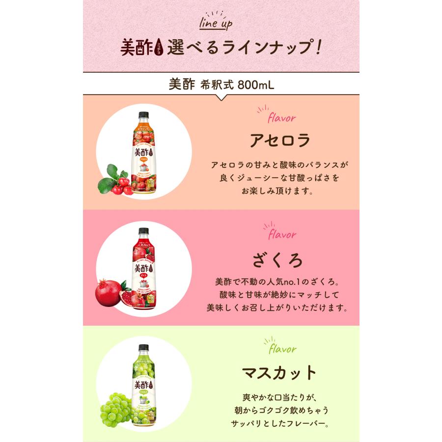 美酢 【母の日ギフト】遅れてごめんね 800ml 選べる3本セット 飲むお酢