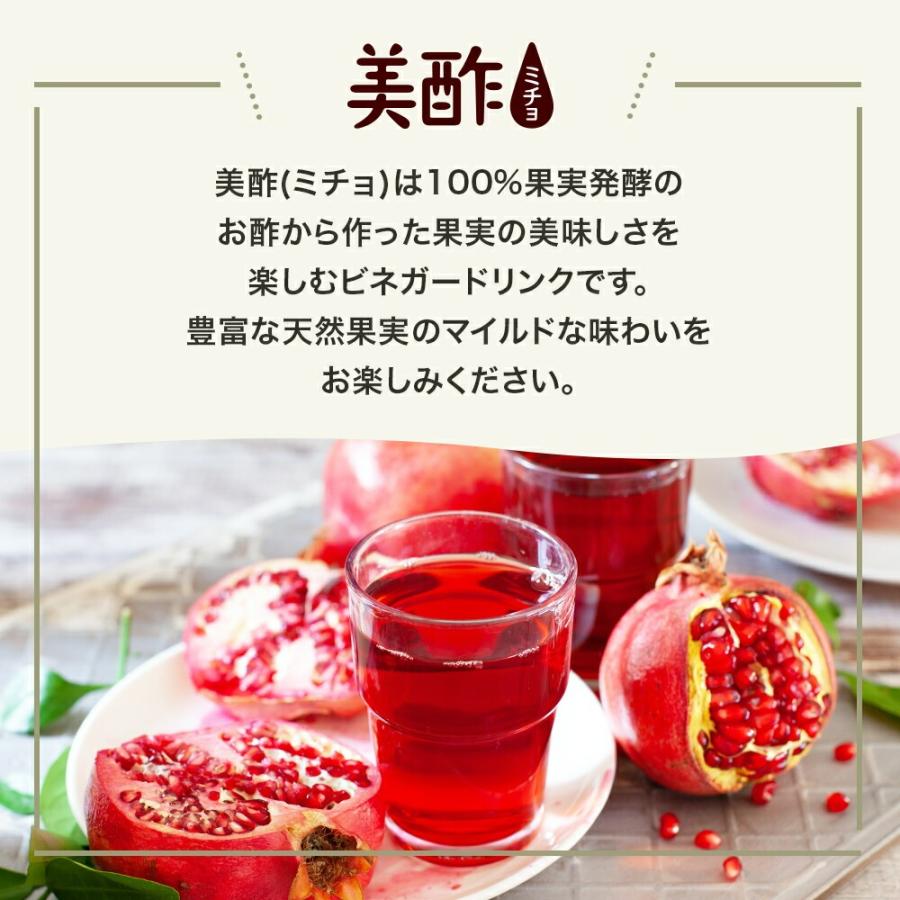 美酢 アセロラ 12本セット 800mL みちょ 希釈式 お酢飲料 果実酢 飲むお酢 常温 ドリンク お酢 ビネガードリンクの画像