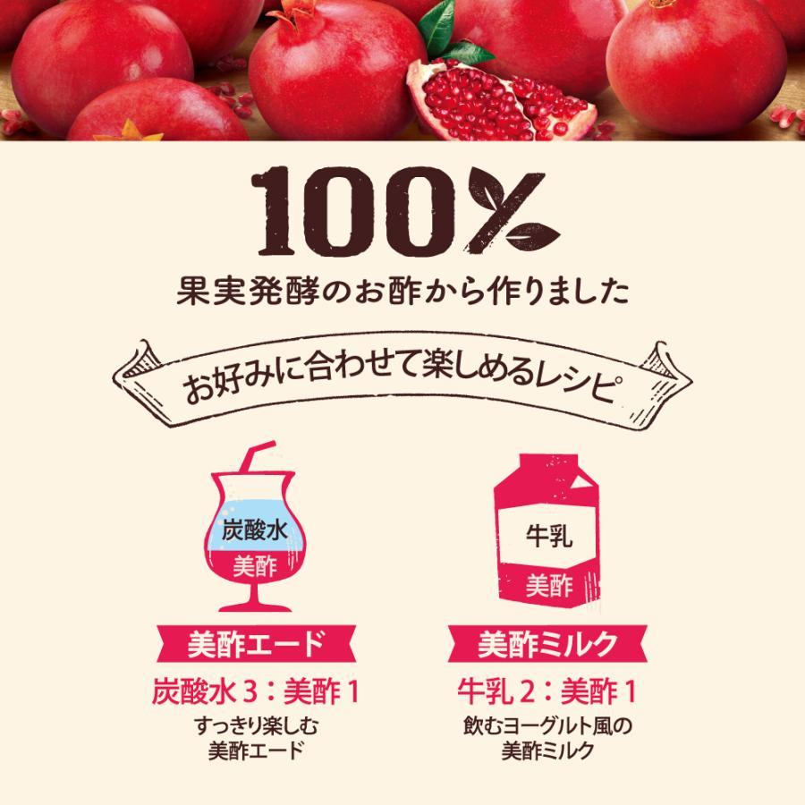 美酢希釈タイプ(8フレーバー) 美酢プラス(4フレーバー) から選べる4本セット 飲むお酢 みちょ ミチョ お酢 ドリンク 酢 【MJCP ...