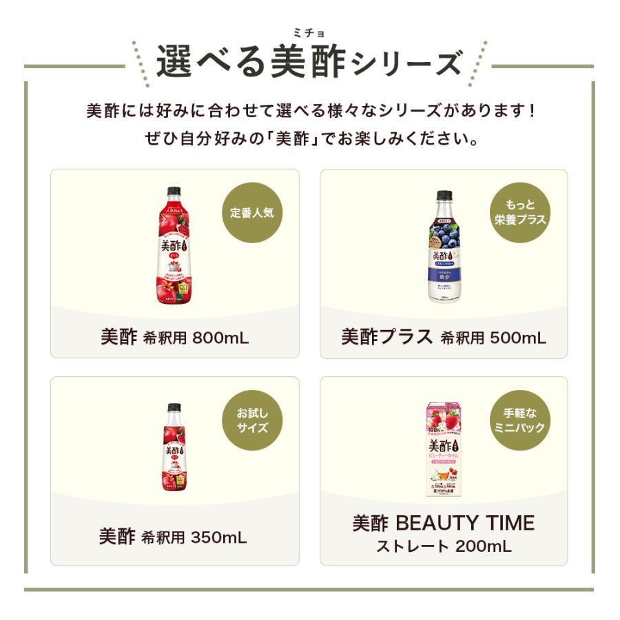 美酢 アサイーブレンド 12本セット 800mL みちょ 希釈式 お酢飲料 果実酢 飲むお酢 常温 ドリンク お酢 ビネガードリンク_15