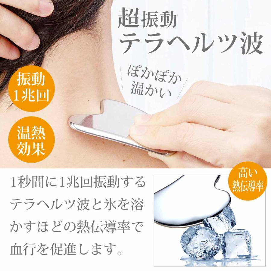 Risa（リサ） かっさ プレート 美顔 美容 美顔器 テラヘルツ 小顔