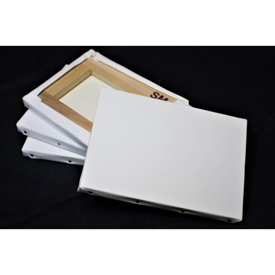 クレサン UVプリント専用 張キャンバス 2枚組　ＴＣＮ-A1サイズ