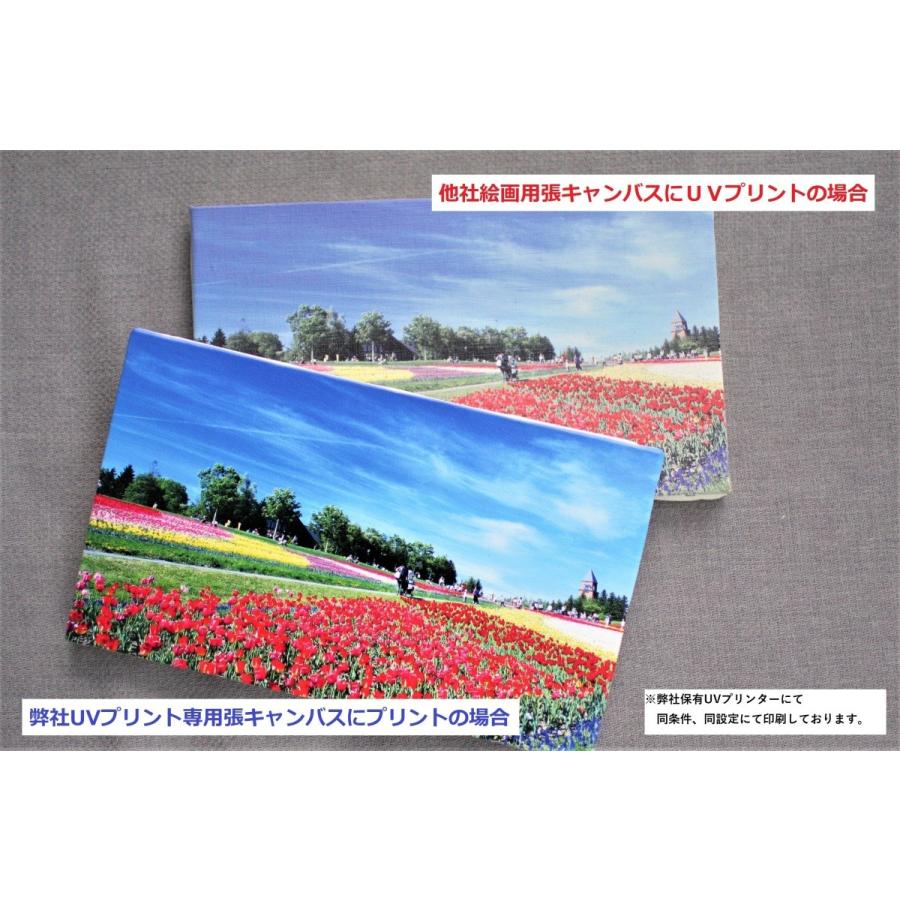 クレサン UVプリント専用 張キャンバス 2枚組 TCN-S15号
