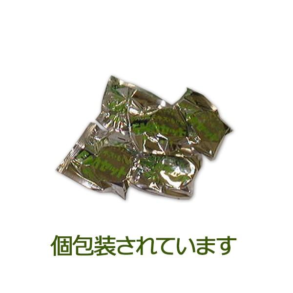 EMカセット 30個入 シグマビワオンキュ専用カセット : CLAILEwellness