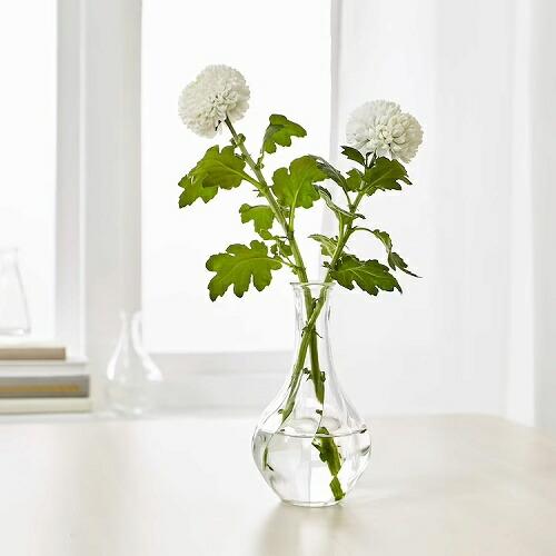 イケア（IKEA） 花瓶 クリアガラス 高さ17cm E80338578 VILJESTARK