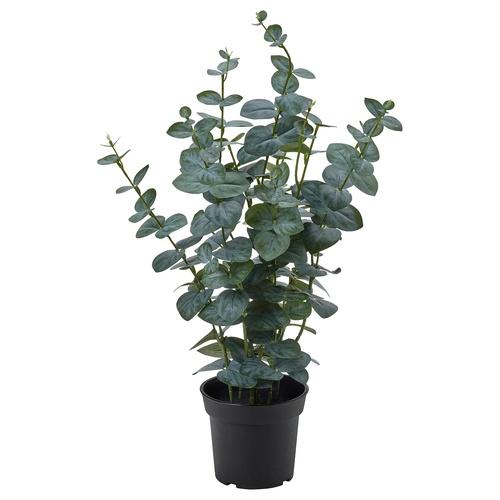 イケア（IKEA） 人工観葉植物 室内/屋外用 ユーカリ 15cm m00615273 