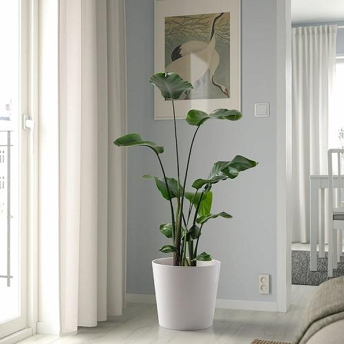 イケア（IKEA） 鉢カバー ホワイト 白 32cm m10533583 SOJABONA