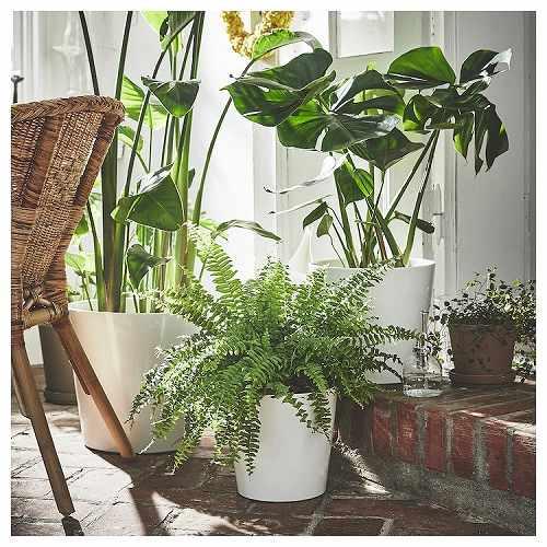イケア（IKEA） 鉢カバー ホワイト 白 32cm m10533583 SOJABONA