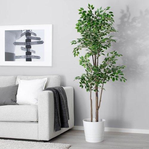 イケア（IKEA） 人工観葉植物 室内/屋外用 ベンジャミン 21cm