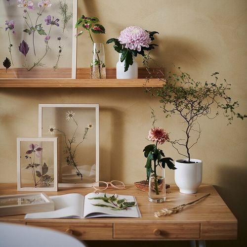 イケア（IKEA） アート用飾り棚 竹 55cm m20511359 MALERAS