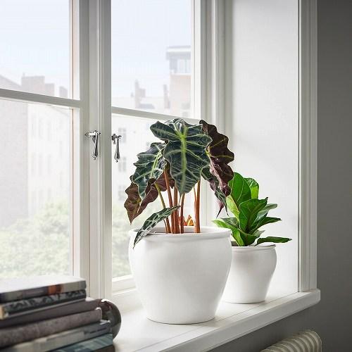 イケア（IKEA） 鉢カバー 6号 室内 屋外用 ホワイト 19cm m20559493