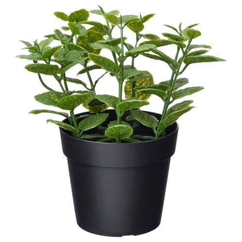 イケア（IKEA） 人工観葉植物 室内/屋外用 ミント 9cm m20600869 FEJKA