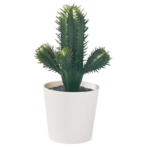 イケア（IKEA） 人工観葉植物 室内/屋外用 サボテン 6cm m30587155