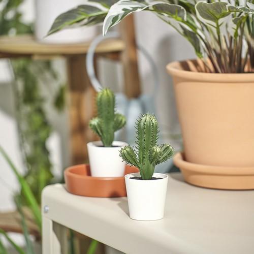 イケア（IKEA） 人工観葉植物 室内/屋外用 サボテン 6cm m30587155