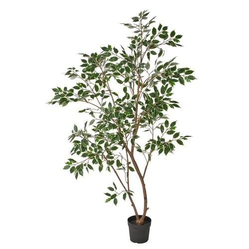 IKEA FEJKA フェイカ 人工観葉植物 ベンジャミン FEJKA フェイカ 人工観葉植物, 室内/屋外用/ベンジャミン, 23 cm - IKEA
