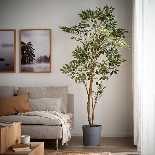 イケア（IKEA） 人工観葉植物 室内/屋外用/ベンジャミン 23cm