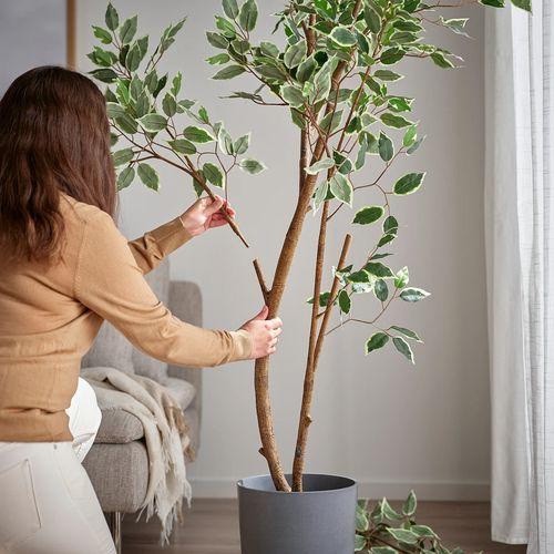 イケア（IKEA） 人工観葉植物 室内/屋外用/ベンジャミン 23cm