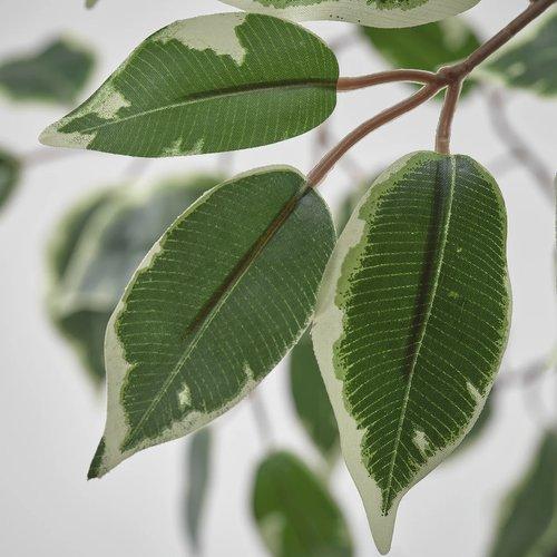 イケア（IKEA） 人工観葉植物 室内/屋外用/ベンジャミン 23cm