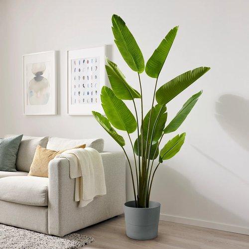 IKEA イケア 人工観葉植物 室内/屋外用/ゴクラクチョウカ 23cm m30610603 FEJKA フェイカ_2