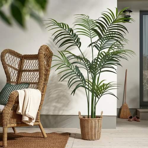 IKEA FEJKA 人工観葉植物 ケンチャヤシ 21cm 高さ180cm 美品 イケア（IKEA） 人工観葉植物 室内/屋外用/ケンチャヤシ 21cm