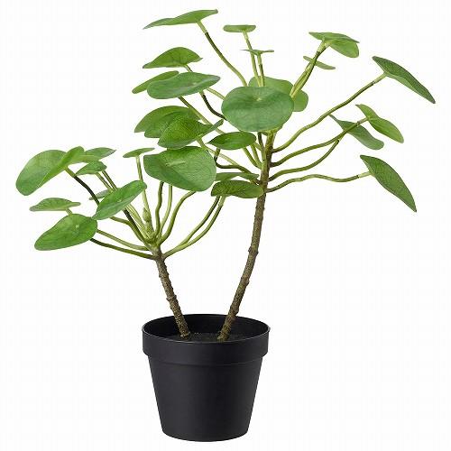 Ikea イケア 人工観葉植物 室内 屋外用 ピレア 12x40cm M Fejka フェイカ 21春夏新色