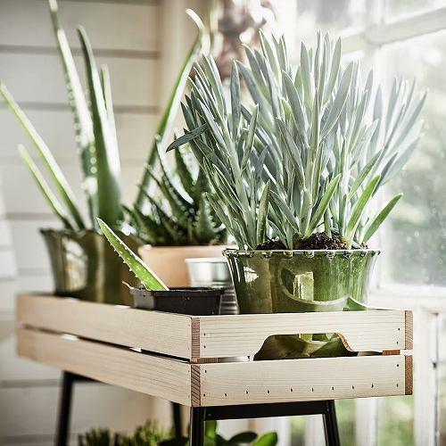 イケア（IKEA） プラントスタンド パイン材 ブラック 67cm m60426340