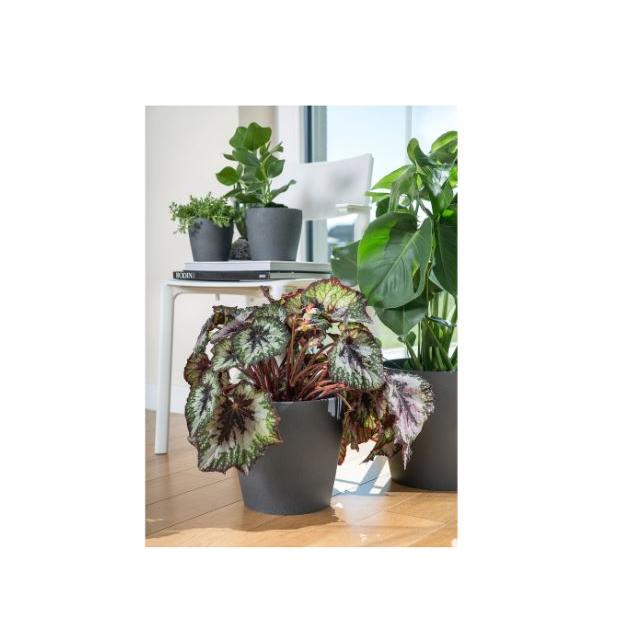 イケア IKEA 鉢カバー 8号 ダークグレー 24cm PERSILLADE ペルスィラデ