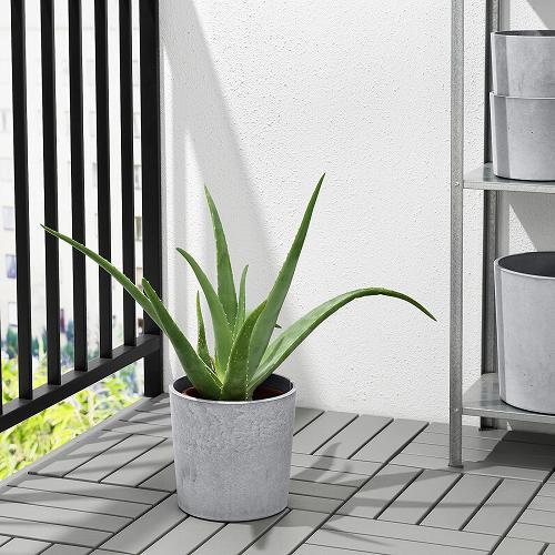 イケア（IKEA） 鉢カバー 6号 室内 屋外用 ライトグレー 19cm 