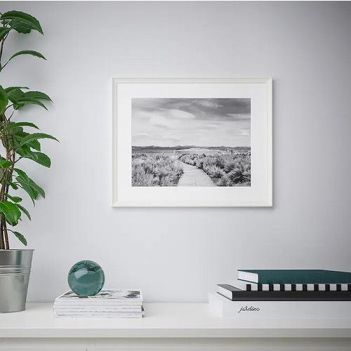 イケア（IKEA） フレーム ホワイト 白 50x70cm n60427306 KNOPPANG