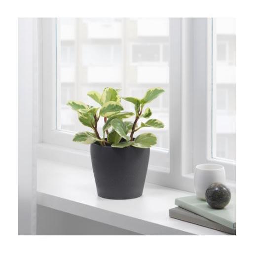 イケア（IKEA） 鉢カバー 4号 ダークグレー 12cm PERSILLADE