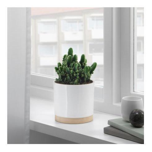 Ikea イケア 鉢カバー 12cm ホワイト 白 ナチュラル Uppvakta N N 株式会社 クレール 通販 Yahoo ショッピング